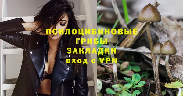 героин Алзамай