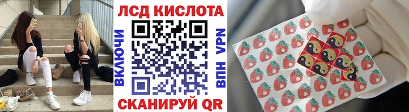дарнет шоп  Дмитровск  Наркотические марки 1,5мг 