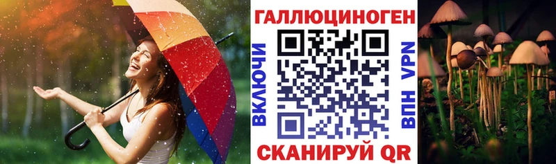 MEGA как зайти Дмитровск Галлюциногенные грибы мухоморы наркота